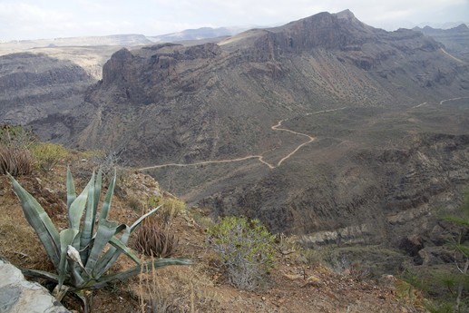 Canarie 2014